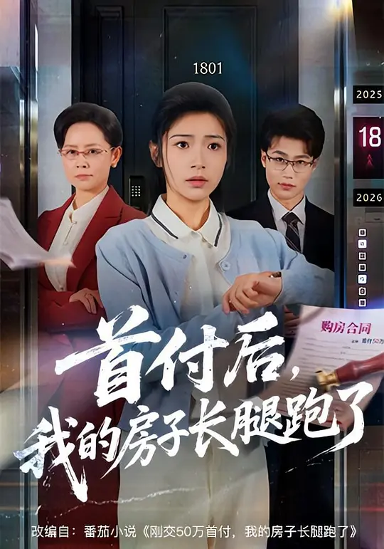 首付后，我的房子长腿跑了(全集)