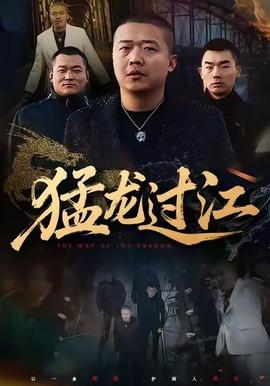 猛龙过江(全集)